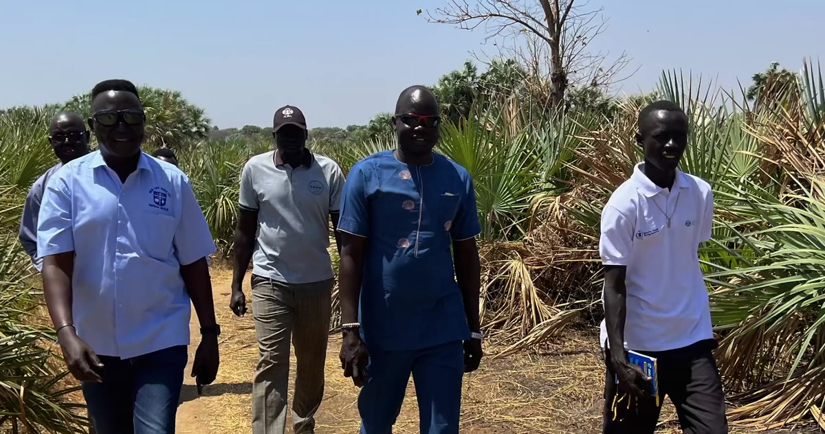 Four men walk through the palms