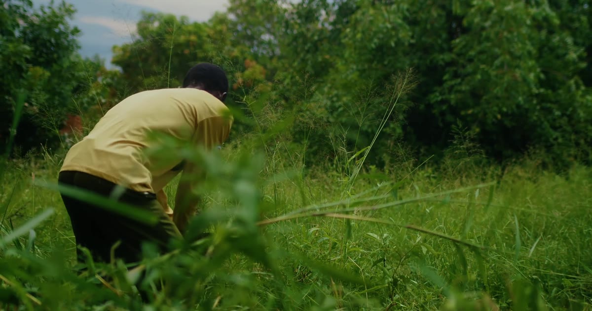 A farmer works a field with a hoe