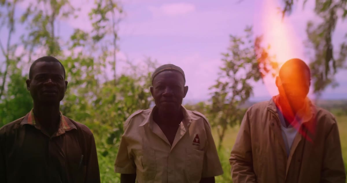 Three men stand in a field at dusk